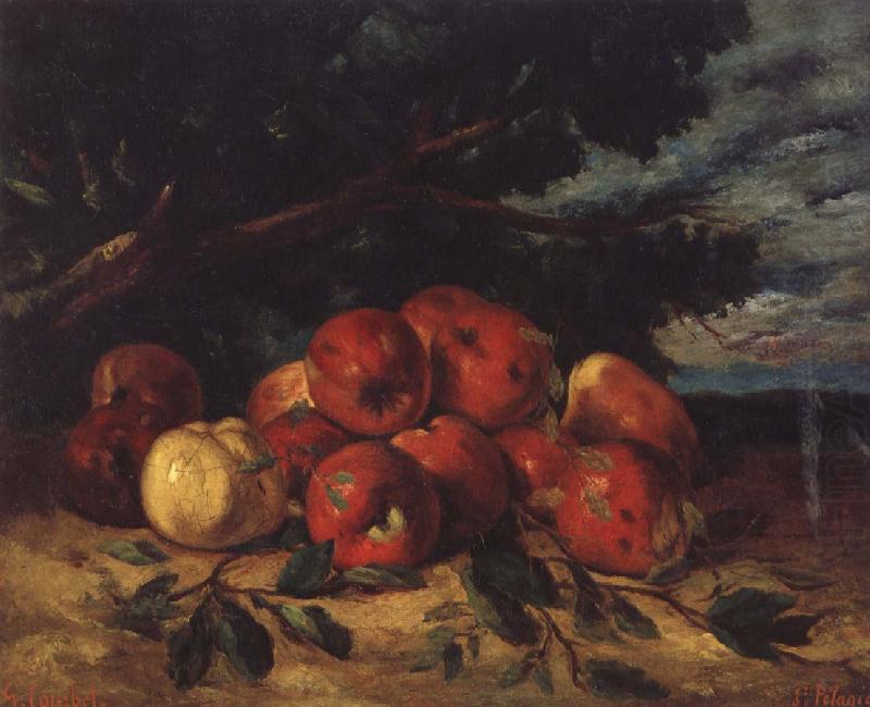 Red apples at the Foot of a Tree, Gustave Courbet